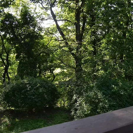 Marcinelle Jardins De La Fontaine Qui Bout Parking Gratuit 3*